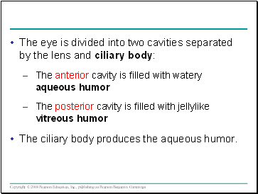 The eye is divided into two cavities separated by the lens and ciliary body: