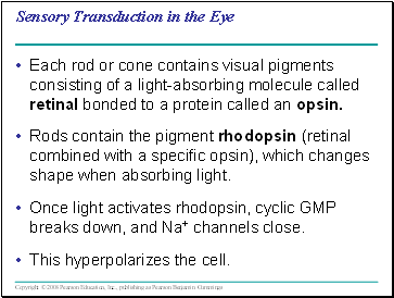 Sensory Transduction in the Eye