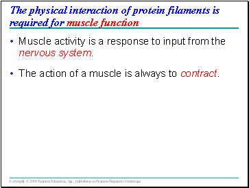The physical interaction of protein filaments is required for muscle function