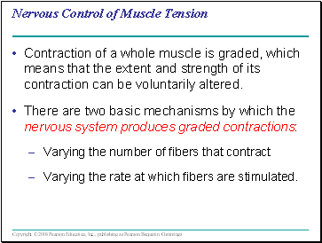 Nervous Control of Muscle Tension