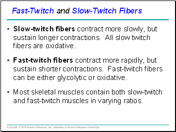 Slow-twitch fibers contract more slowly, but sustain longer contractions. All slow twitch fibers are oxidative.