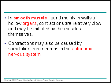 In smooth muscle, found mainly in walls of hollow organs, contractions are relatively slow and may be initiated by the muscles themselves.