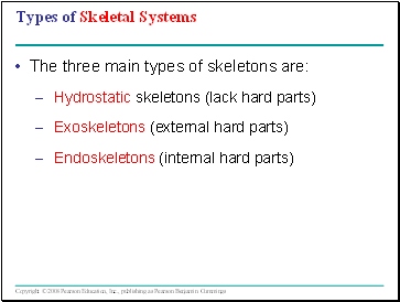 Types of Skeletal Systems