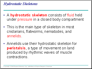 Hydrostatic Skeletons