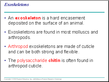 Exoskeletons