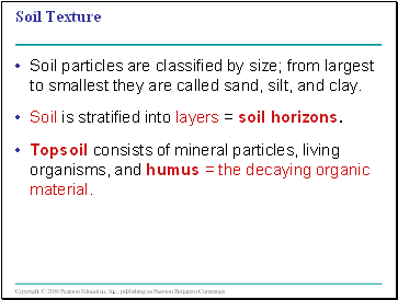 Soil Texture