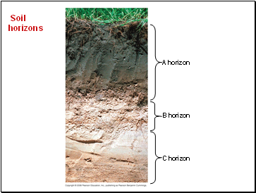 Soil horizons