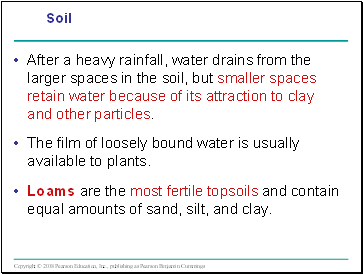After a heavy rainfall, water drains from the larger spaces in the soil, but smaller spaces retain water because of its attraction to clay and other particles.