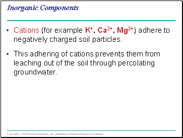 Inorganic Components