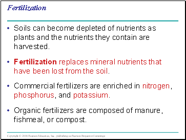 Fertilization