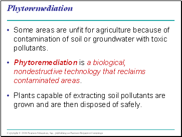 Phytoremediation