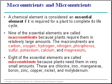 Macronutrients and Micronutrients