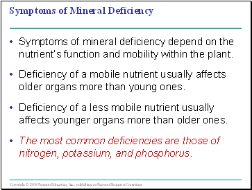 Symptoms of Mineral Deficiency
