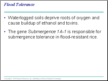 Flood Tolerance