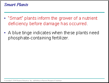 Smart Plants