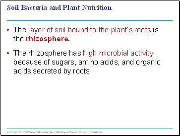 Soil Bacteria and Plant Nutrition