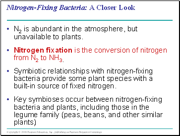 Nitrogen-Fixing Bacteria: A Closer Look