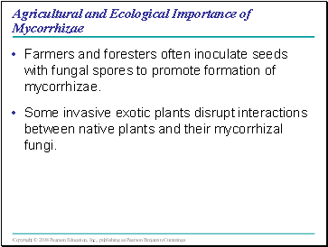 Agricultural and Ecological Importance of Mycorrhizae