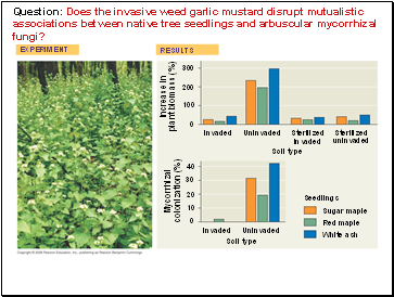 Question: Does the invasive weed garlic mustard disrupt mutualistic associations between native tree seedlings and arbuscular mycorrhizal fungi?