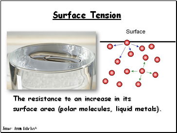 Surface Tension