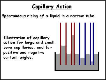 Capillary Action