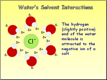 Water’s Solvent Interactions