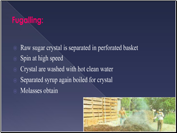 Sugar Refining Process