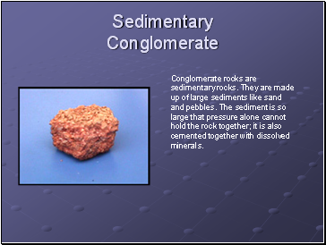 Sedimentary Conglomerate