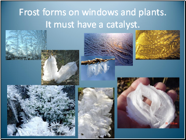 Frost forms on windows and plants. It must have a catalyst.