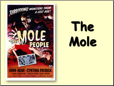 The Mole