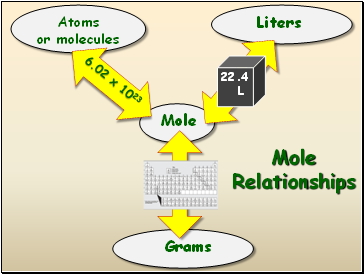 Mole Relationships