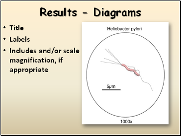 Results - Diagrams