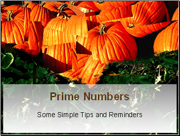 Prime Numbers