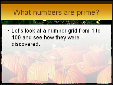 What numbers are prime?