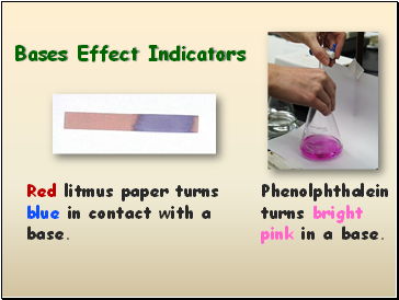 Bases Effect Indicators