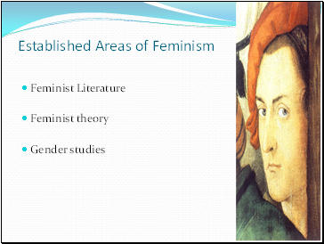 Established Areas of Feminism