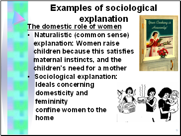 Examples of sociological explanation