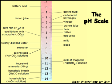 The pH Scale