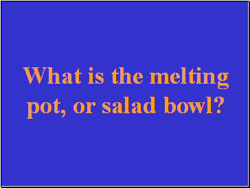 What is the melting pot, or salad bowl?