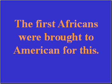 The first Africans were brought to American for this.