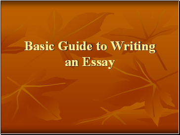 Basic Guide to Writing an Essay