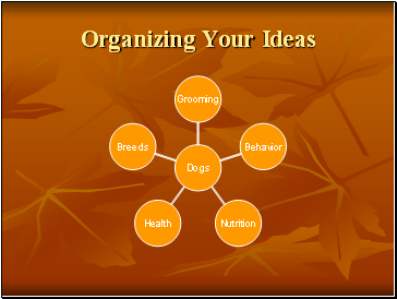 Organizing Your Ideas