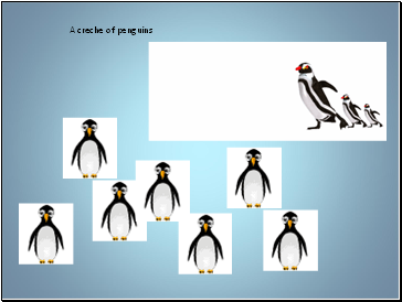 A creche of penguins