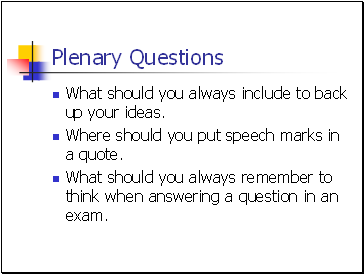 Plenary Questions