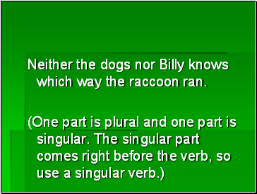 Neither the dogs nor Billy knows which way the raccoon ran.