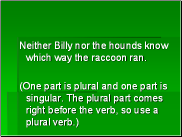 Neither Billy nor the hounds know which way the raccoon ran.