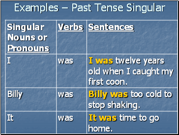 Examples  Past Tense Singular