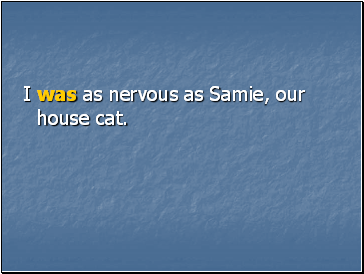I was as nervous as Samie, our house cat.