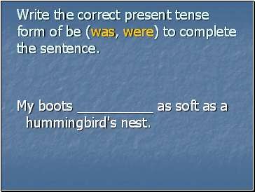 Write the correct present tense form of be (was, were) to complete the sentence.