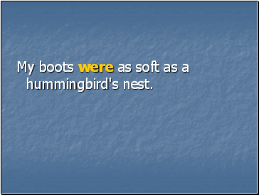 My boots were as soft as a hummingbird's nest.